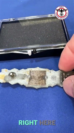 Is this a Silver or Gold Combat Clasp?