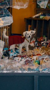 Not every scene makes it into the final cut — but this Superman deleted scene is too good to miss! As part of the film’s digital release, fans can finally see the hilarious moment Mr. Terrific (Edi Gathegi) convinces Krypto to fly him up to Lois and the Daily Planet crew’s ship... without the pup destroying his T-Spheres. Fans can see Superman with all the new additions on digital starting Tuesday, Sept. 23. 📀 Bonus features dropping tomorrow include: ✨ Director’s Commentary with James Gunn ✨ G