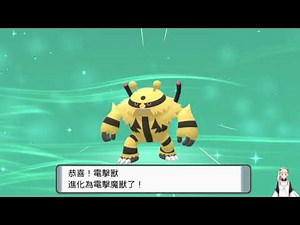 如何進化成電擊魔獸《寶可夢晶燦鑽石》 Evolve Into Electivire｜Pokémon Brilliant Diamond