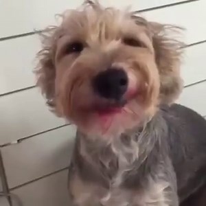 42M views · 136 reactions | Kkkkkk quando vc apronta e consegue reverter a situação usando teu charme...  | Ronny Rangel | Facebook