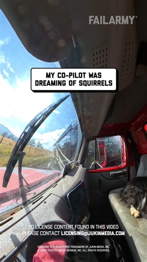 this is great practice for the demolition derby 😩 🤣 #cctv #dashcam #propertydamage #dog #carcrash #caraccident #carfails #fblifestyle #fail | FailArmy