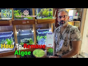APT Algae Fix Review By Aqua² Lab || How To Remove Algae