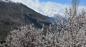 26 reactions | Short & brief documentary On Hunza Valley By Natinal Geographic | The HUNZA valley | Facebook
