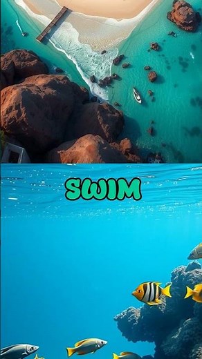 Culebra, Puerto Rico: Relax on the Caribbean’s Untouched Gem 🌊🏝️