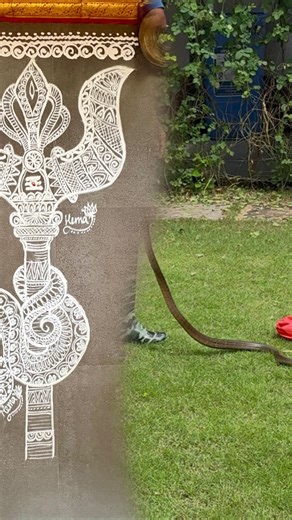 Yesterday I drew a snake and one came in our back yard this noon. Watch till the end … as I try to soothe its fear. 🥰🙏🏼 𝗗𝗮𝘆 𝟴 : 𝗡𝗮𝘃𝗮𝗿𝗮𝘁𝗵𝗿𝗶 𝟮𝟬𝟮𝟱 𝗗𝗘𝗩𝗜 𝗔𝘆𝘂𝗱𝗵𝗮𝗺 : 𝗩𝗮𝗷𝗿𝗮 Thunderbolt! Many versions are there for this weapon gifted by Indra. I chose to see this one to match the Trishula. #kolam #navaratrivibes #thelotusshakti #snake | The Lotus Shakti