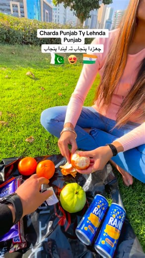 Gao Ka Larka on Instagram: "Indian Punjab And Pakistani Punjab"