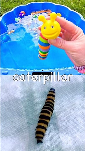 Bug Insect Names | Kids Learn with Toys: Caterpillar Fly Butterfly Stink Bug Grasshopper