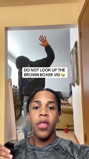 Adorable Boxer Dog Video Update