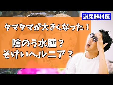 タマタマが大きくなった！陰のう水腫、そけいヘルニアについて【泌尿器科医が解説】