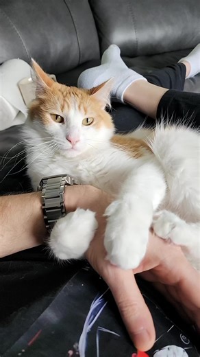 Hoarding Cleanup Interactions