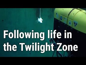 Mesobot: Following life in the Twilight Zone