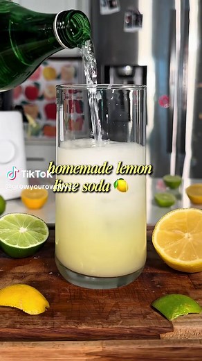 Healthy Homemade Lemon Lime Soda Recipe