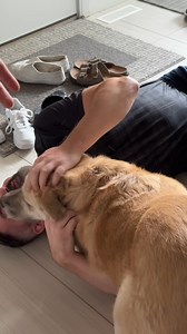 Not only are we marketing geniuses, but we’re also top-notch actors—just ask our behind-the-scenes shots! 😜 Check out these hilarious snaps from our latest HVAC commercial shoot. Between the laughs and puppy cuddles, we’re excited for you to see the final cut. Stay tuned! 🎬🐾 | SOS Media Corp