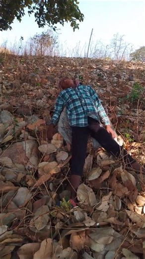 Kokili: uthao fir bhi sota 😂#funnyvideo #comedy #funny #shorts