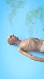 11M views · 85K reactions | Do Pets Eat Their Owners? 樂 | Zack D. Films | Facebook