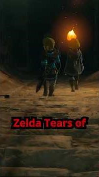 Play Zelda Tears Of Kingdom On Your PC #nintendoswitch #zelda #switchgames