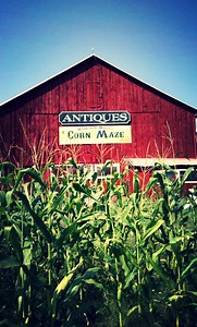 Home | Retherford's Farm