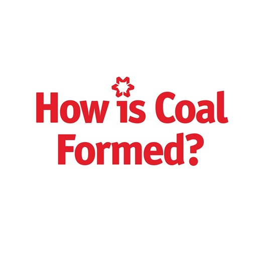 13K views · 105 reactions | We all know what the word 'coal' means to us, but let's dive into what coal really is ⤵️ | United Coal Company | Facebook
