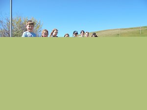 Living Streets Scotland