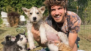 78K views · 3.6K reactions | My Husky Puppies Throw a Temper Tantrum During Their First Bath | Joey Graceffa | Facebook