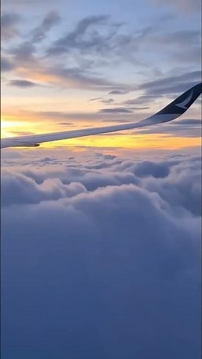 How Aircraft Winglets Save Fuel | The Science Behind the Shapes 🦅