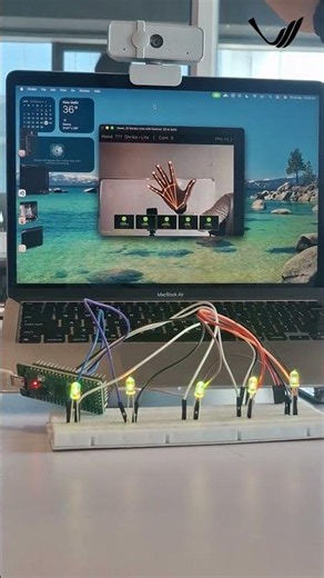 5 projects for beginners on microcontroller.