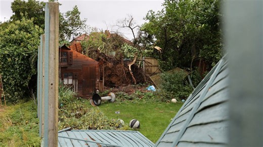 'Mini tornado' tears through Coventry causing damage to homes and uprooting trees