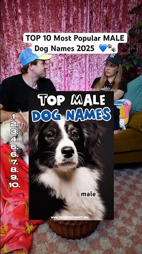 Top 10 most popular BOY dog names of 2025 #shorts