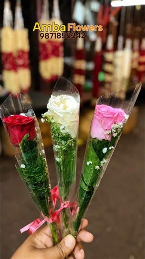 Red white rose / pink rose / #flowers #jaimala #wedding #ambaflowers #rose #shorts