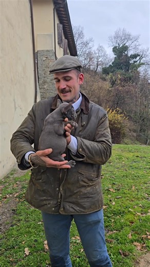 Femminuccia blu al Florence Prestige French Bulldog ❤️