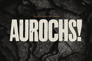 Aurochs: letterpress type family, a Sans Serif Font by Polymath