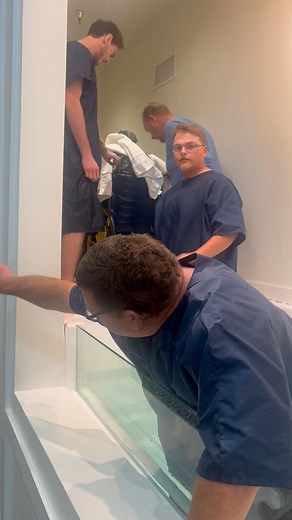 Johnnie LeMaster on Reels