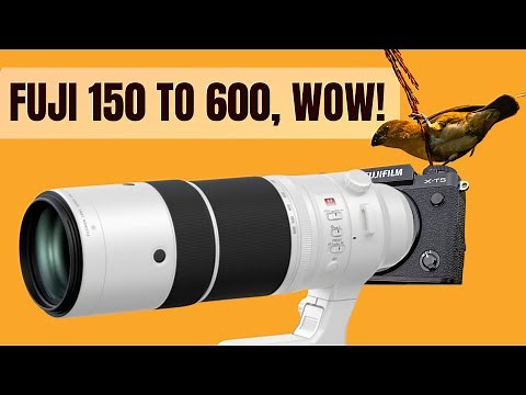 Fuji 150 to 600 Review | Fuji XT5 for Birding and wildlife