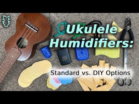 Ukulele Humidifier: DIY vs. Standard Options