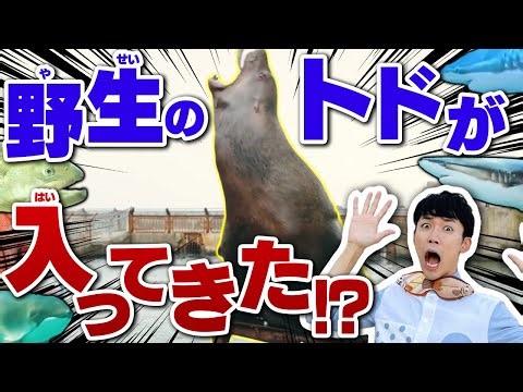 Before you go to Hokkaido, check this out! A comprehensive guide to Japan's most nature-friendly ...