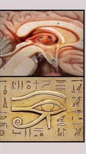 Hidden Awareness on Instagram: ""She describes what her experience was like when she awakened her third eye." She shares her experience of awakening the third eye. This isn’t a tutorial, but a personal account about perception, awareness, and seeing what was always there.” #ThirdEye #Awareness #InnerAwakening #PerceptionShift #MindAwake"