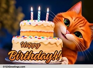 Purrfect Birthday Wish For Loved Ones