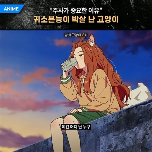 주사가 안 좋아도 집에는 들어가야 한다
