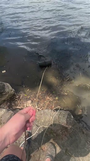 Does Racoon bait work as minnow bait!!!! #outdoors #shorts #fyp #viral #subscribe #real #fishing