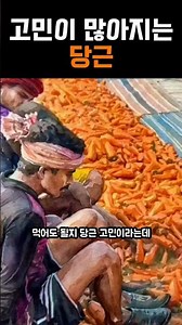 당근 고민 #art