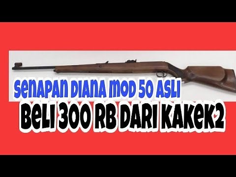 S3N4P4N DIANA MOD 50