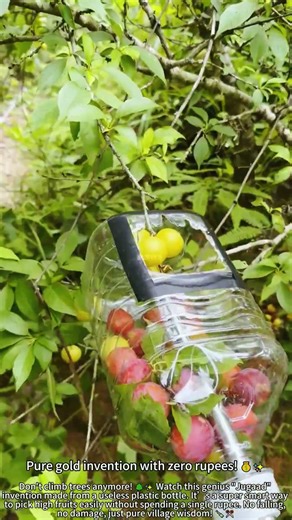 DIY Fruit Picker: Zero Cost Magic! 🥭🍾