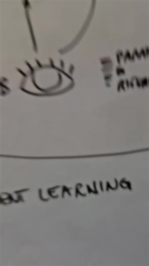 Video di Brainlink (@brainlink_project) con suono originale - Brainlink