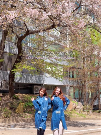 역시 그럴 줄 알았어 설레었잖아 🌸🍃☔️ #봄비챌린지 #UNIS #유니스 #HYEONJU #진현주 #ELISIA #엘리시아 #SpringRain