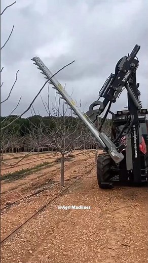 Pruning Machine VIMAR 3000 V in Action || Pruning Season 2025 in Spain || #pruning #shorts