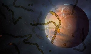 NASA: Scientist reveals where life on Mars may exist