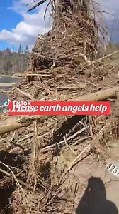 Asheville NC 12-2 Look at the height of that debris!!! Tags , not searched . | Sandy Pearl
