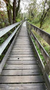 Heron Loop Pier (Marymoor Park, Redmond, Washington)
