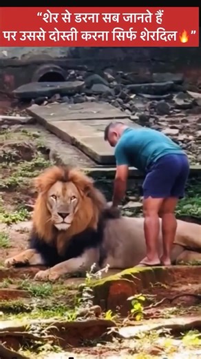 Bodi Bhai The Jungle Boy | “जिसे दुनिया खौफ कहती है, उसने यहां प्यार बनकर जन्म लिया 🦁✨” || . . . #FearlessMan #LionFriendship #BraveHeart #KingOfJungle... | Instagram