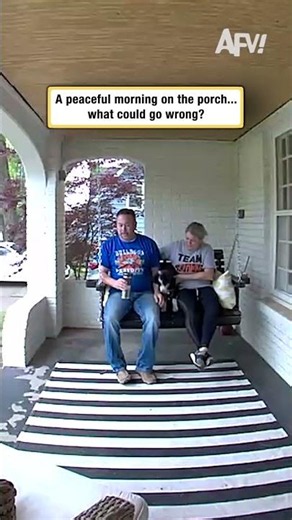 A peaceful morning on the porch... what could go wrong?